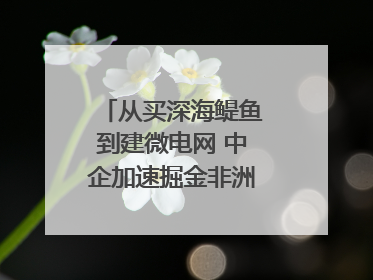 从买深海鳀鱼到建微电网 中企加速掘金非洲现代化｜直击中非经贸博览会