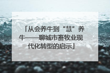 从会养牛到“慧”养牛——聊城市畜牧业现代化转型的启示
