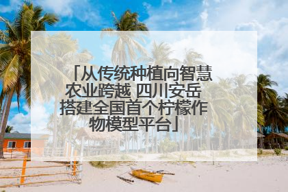 从传统种植向智慧农业跨越 四川安岳搭建全国首个柠檬作物模型平台