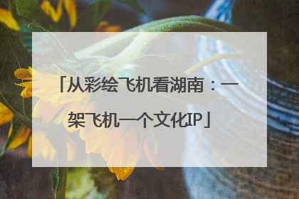 从彩绘飞机看湖南：一架飞机一个文化IP