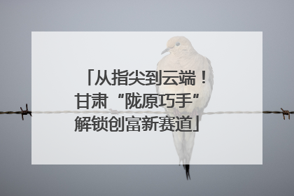 从指尖到云端！甘肃“陇原巧手”解锁创富新赛道