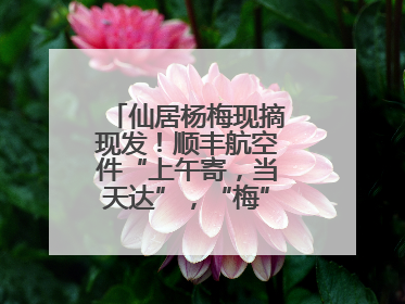 仙居杨梅现摘现发！顺丰航空件“上午寄，当天达”，“梅”好送到家！