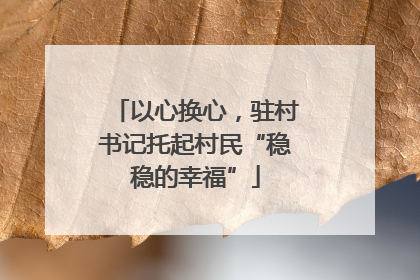 以心换心，驻村书记托起村民“稳稳的幸福”