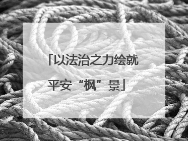 以法治之力绘就平安“枫”景