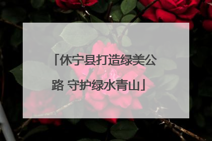 休宁县打造绿美公路 守护绿水青山