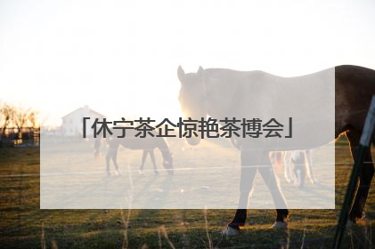 休宁茶企惊艳茶博会