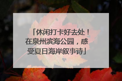 休闲打卡好去处！在泉州滨海公园，感受夏日海岸叙事诗