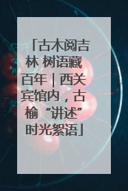 古木阅吉林 树语藏百年｜西关宾馆内，古榆“讲述”时光絮语