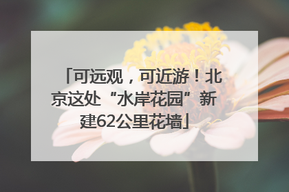 可远观，可近游！北京这处“水岸花园”新建62公里花墙