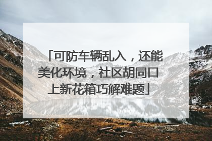 可防车辆乱入，还能美化环境，社区胡同口上新花箱巧解难题