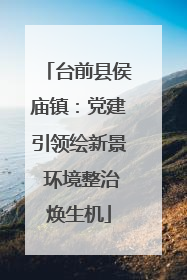 台前县侯庙镇：党建引领绘新景 环境整治焕生机