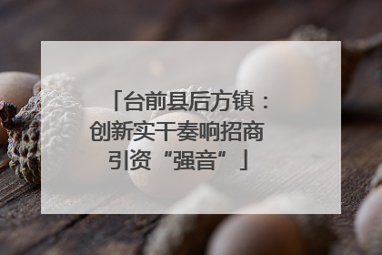 台前县后方镇：创新实干奏响招商引资“强音”