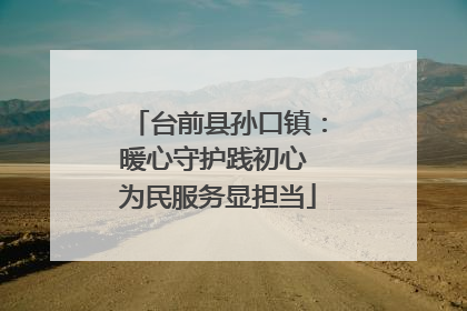 台前县孙口镇：暖心守护践初心 为民服务显担当
