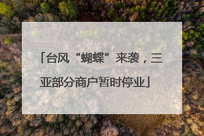 台风“蝴蝶”来袭，三亚部分商户暂时停业