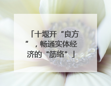 十堰开“良方”，畅通实体经济的“筋络”
