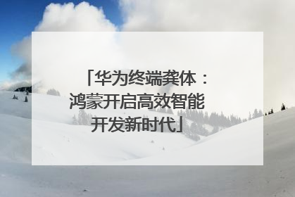 华为终端龚体：鸿蒙开启高效智能开发新时代