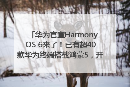 华为官宣HarmonyOS 6来了！已有超40款华为终端搭载鸿蒙5，开发者突破800万