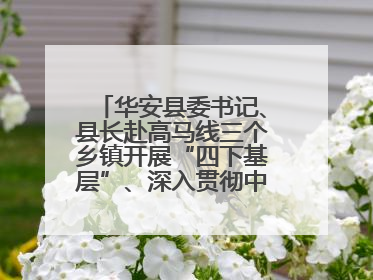 华安县委书记、县长赴高马线三个乡镇开展“四下基层”、深入贯彻中央八项规定精神学习教育工作调研