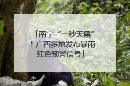 南宁“一秒天黑”！广西多地发布暴雨红色预警信号
