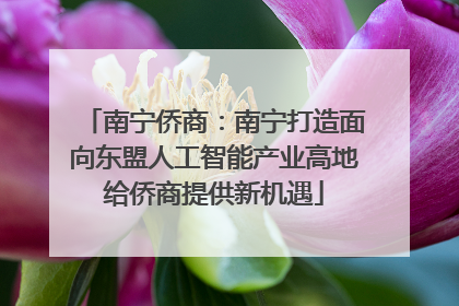 南宁侨商：南宁打造面向东盟人工智能产业高地给侨商提供新机遇