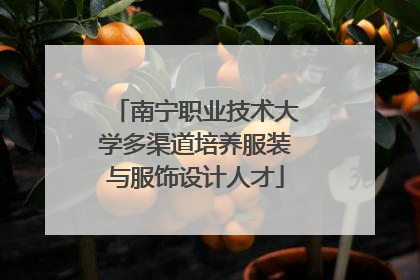 南宁职业技术大学多渠道培养服装与服饰设计人才