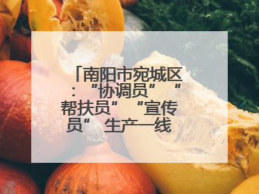 南阳市宛城区：“协调员”“帮扶员”“宣传员” 生产一线助力抢收抢种