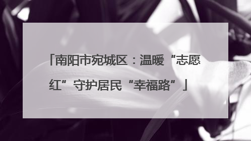 南阳市宛城区：温暖“志愿红”守护居民“幸福路”
