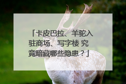 卡皮巴拉、羊驼入驻商场、写字楼 究竟暗藏哪些隐患？
