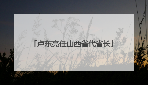 卢东亮任山西省代省长