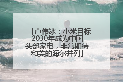卢伟冰：小米目标2030年成为中国头部家电，非常期待和美的海尔并列