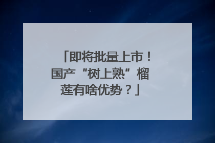 即将批量上市！国产“树上熟”榴莲有啥优势？