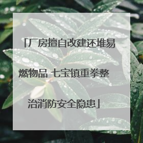 厂房擅自改建还堆易燃物品 七宝镇重拳整治消防安全隐患