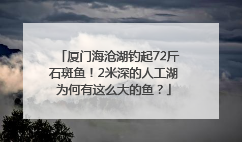 厦门海沧湖钓起72斤石斑鱼！2米深的人工湖为何有这么大的鱼？