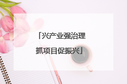兴产业强治理 抓项目促振兴