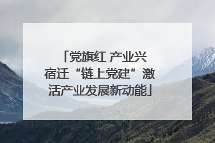 党旗红 产业兴 宿迁“链上党建”激活产业发展新动能