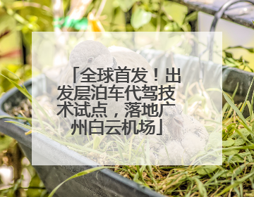 全球首发！出发层泊车代驾技术试点，落地广州白云机场