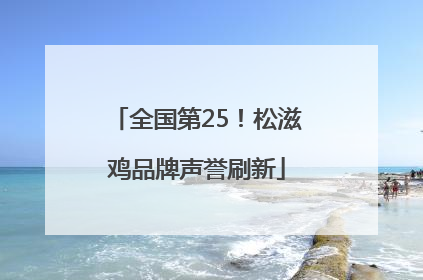 全国第25！松滋鸡品牌声誉刷新