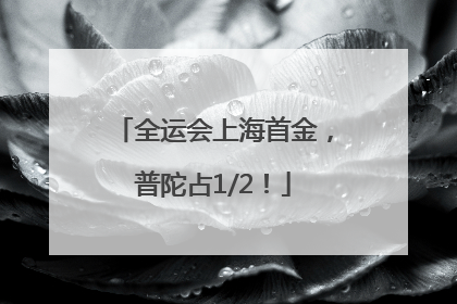 全运会上海首金，普陀占1/2！