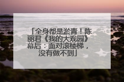 全身都是淤青！陈丽君《我的大观园》幕后：面对滚楼梯，没有做不到