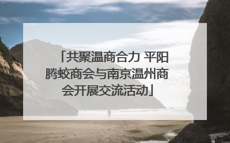 共聚温商合力 平阳腾蛟商会与南京温州商会开展交流活动