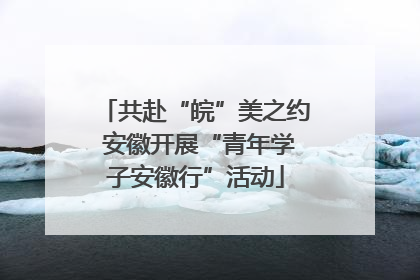 共赴“皖”美之约 安徽开展“青年学子安徽行”活动