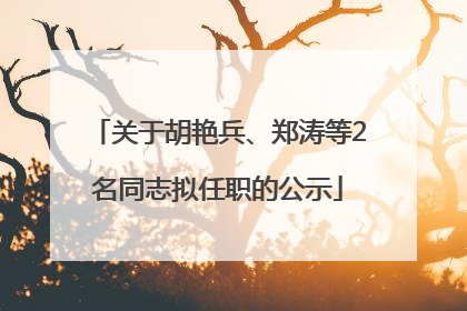 关于胡艳兵、郑涛等2名同志拟任职的公示