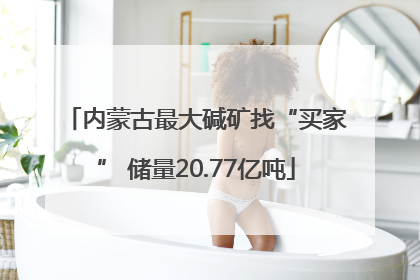 内蒙古最大碱矿找“买家” 储量20.77亿吨