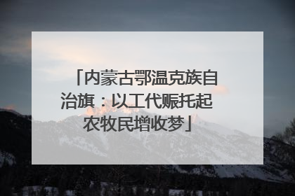 内蒙古鄂温克族自治旗：以工代赈托起农牧民增收梦