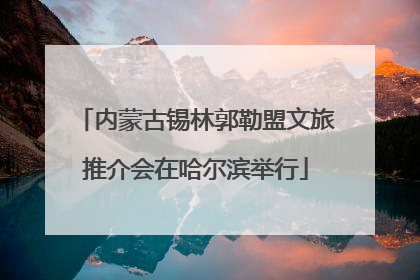 内蒙古锡林郭勒盟文旅推介会在哈尔滨举行