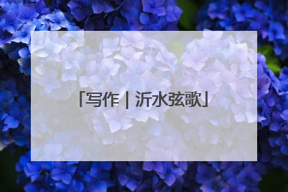 写作｜沂水弦歌