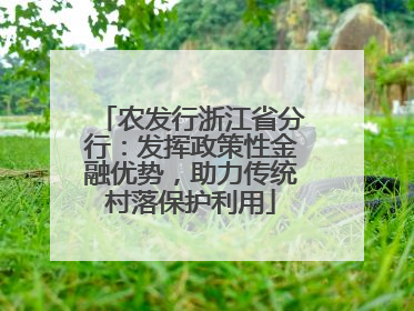 农发行浙江省分行：发挥政策性金融优势，助力传统村落保护利用