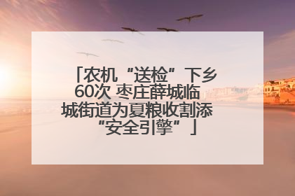 农机“送检”下乡60次 枣庄薛城临城街道为夏粮收割添“安全引擎”