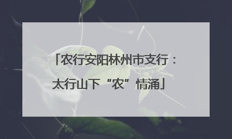 农行安阳林州市支行：太行山下“农”情涌
