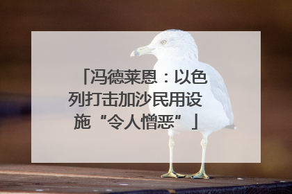冯德莱恩：以色列打击加沙民用设施“令人憎恶”